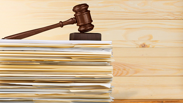 Совет Федерации рассматривает проект о законодательном закреплении СЗЛС